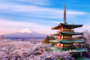 6 Day Essential Japan