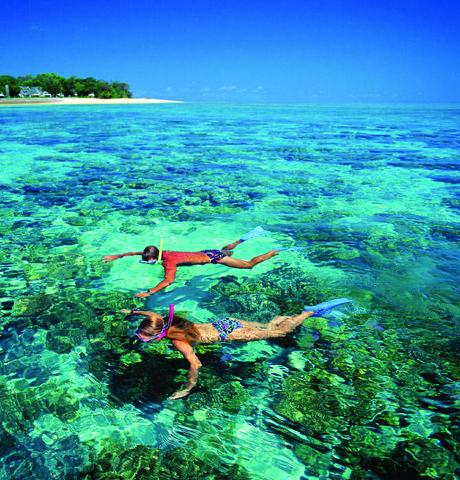 boat-tours-snorkelling-great-barrier-reef-windswell-half-day