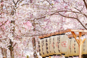 占位 12天日本本州、北海道之旅2018
