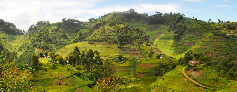 uganda