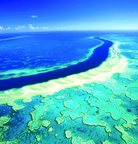 great-barrier-reef-hardy