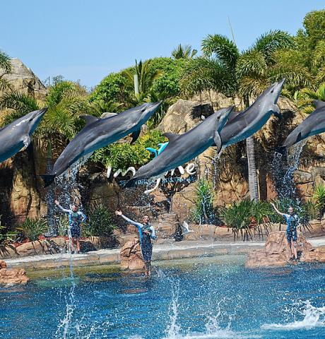 seaworld-12