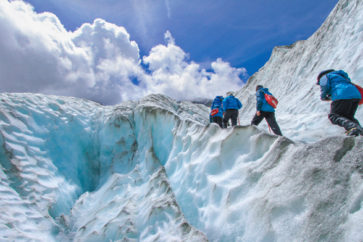 franzjosefglacier_hike1_node0539