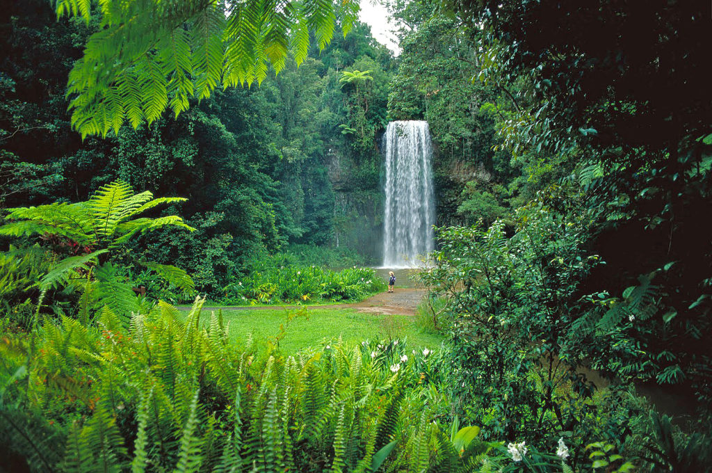 daintree-milla-milla-falls