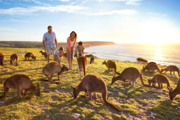 kangaroo-island