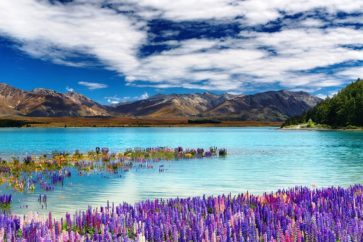 lake-tekapo-amazing