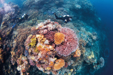 diving-on-the-great-barrier-reef-1
