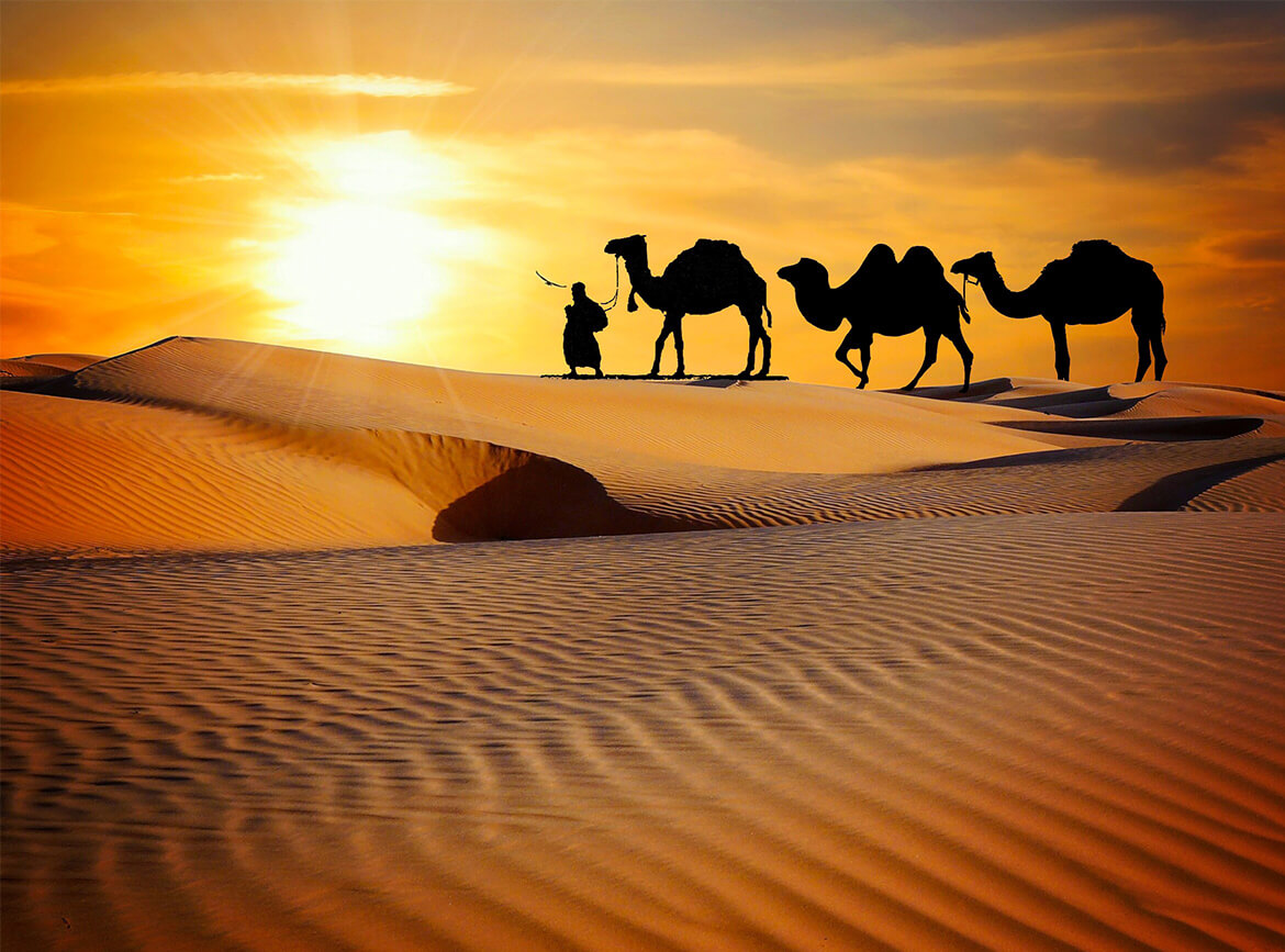 中文) 14天絲綢之路文化之旅(中國篇） - GW Tours