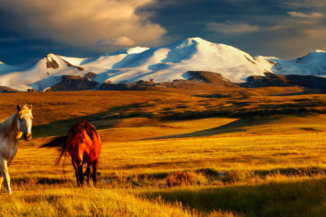 mongolia-header